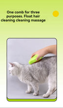 Load image into Gallery viewer, New 3 in 1 Pet Brush Cat Steam Brush Comb Dog Brush Electric Spray Cat Hair Brushes Massage Pet Grooming Hair Removal Combs 
