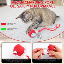 Load image into Gallery viewer, Interactive Pet Soothing Toy Ball USB