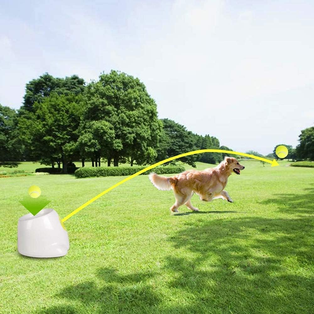 ALL FOR PAWS Automatic Ball Launcher for Dogs Interactive Puppy Pet Ball Indoor Thrower Fetch Machine, 3 Balls Included (2 inch) for Small to Medium Sized Dogs
