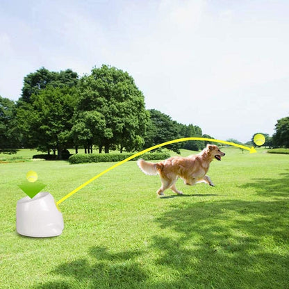 ALL FOR PAWS Automatic Ball Launcher for Dogs Interactive Puppy Pet Ball Indoor Thrower Fetch Machine, 3 Balls Included (2 inch) for Small to Medium Sized Dogs