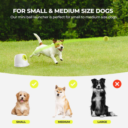 ALL FOR PAWS Automatic Ball Launcher for Dogs Interactive Puppy Pet Ball Indoor Thrower Fetch Machine, 3 Balls Included (2 inch) for Small to Medium Sized Dogs