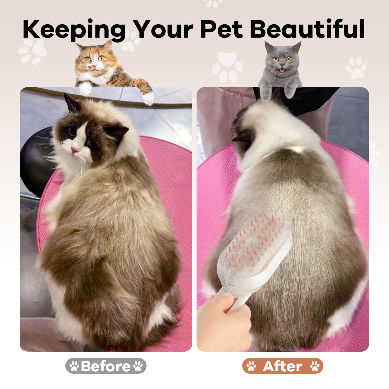 Cat&Dog Steamy Brush for Massage and Pet Grooming 3 in 1