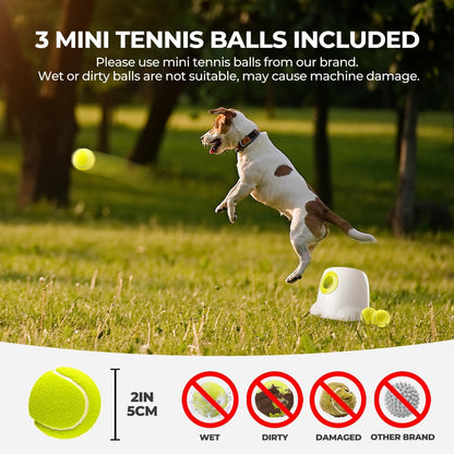 ALL FOR PAWS Automatic Ball Launcher for Dogs Interactive Puppy Pet Ball Indoor Thrower Fetch Machine, 3 Balls Included (2 inch) for Small to Medium Sized Dogs