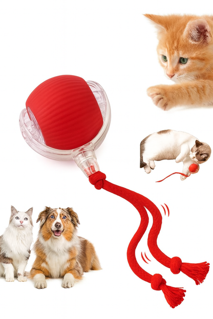 Interactive Pet Soothing Toy Ball USB