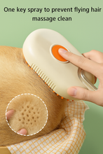 Load image into Gallery viewer, Cat&amp;Dog Steamy Brush for Massage and Pet Grooming 3 in 1
