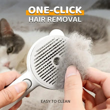 Load image into Gallery viewer, Cute Bear Duck Pet Steam Brush Pet Cleaning Electric Foamer Multiple Combination USB Rechargeable Pet Supplies
