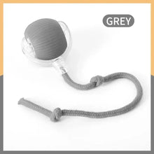 Load image into Gallery viewer, New Cat Interactive Ball Toy Automatic Rolling Ball Faux Tail Rechargeable Smart Pet Electric Toy Dog Cat Training Imitate Mouse
