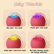 Load image into Gallery viewer, New Cat Interactive Ball Toy Automatic Rolling Ball Faux Tail Rechargeable Smart Pet Electric Toy Dog Cat Training Imitate Mouse
