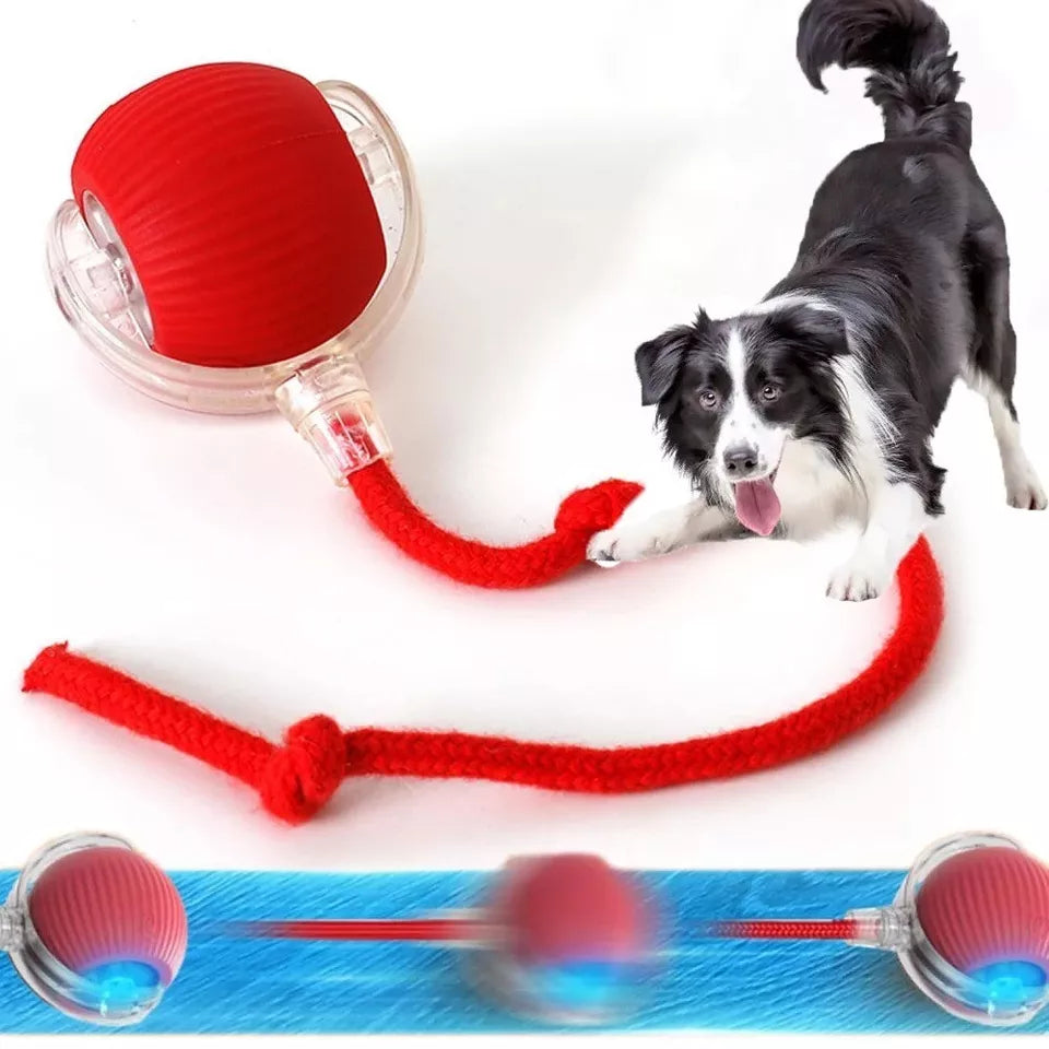 Interactive Pet Soothing Toy Ball USB