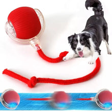 Load image into Gallery viewer, Interactive Pet Soothing Toy Ball USB
