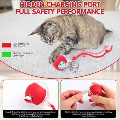 Interactive Pet Soothing Toy Ball USB